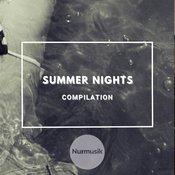 Various Artists - Summer Nights