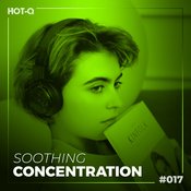 Various Artists - Soothing Concentration 017