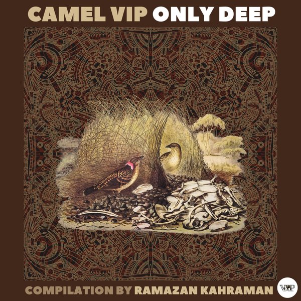 VA - Camel VIP Only Deep (Compilation by Ramazan Kahraman) CVIP122