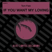 Tom Fabi - If You Want My Loving (Extended Mix)