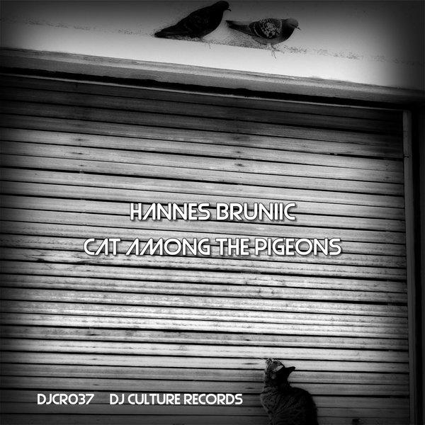 Hannes Bruniic Cat Among The Pigeons On Traxsource