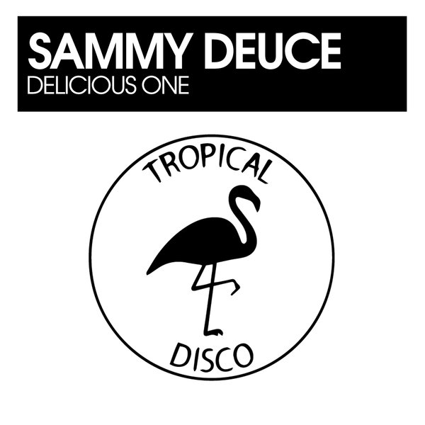 Tropical Disco Records