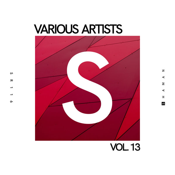 VA - Vol. 13 Shaman Records SR116