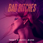 Trekt feat. Gucci Mane - Bad Bitches