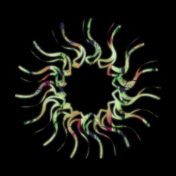 Hot Sauce 2 Album DJ Sampler – Vinyl (12