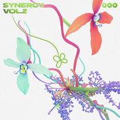 Various Artists - Synergy Vol. 2