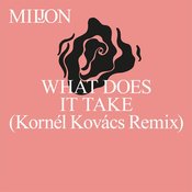 Miljon - What Does It Take