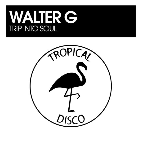 Tropical Disco Records