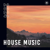 Ibiza House Classics - 2024 House Music
