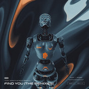 Toxic Wraith, Ricky Birotti - Find You (The Remixes)