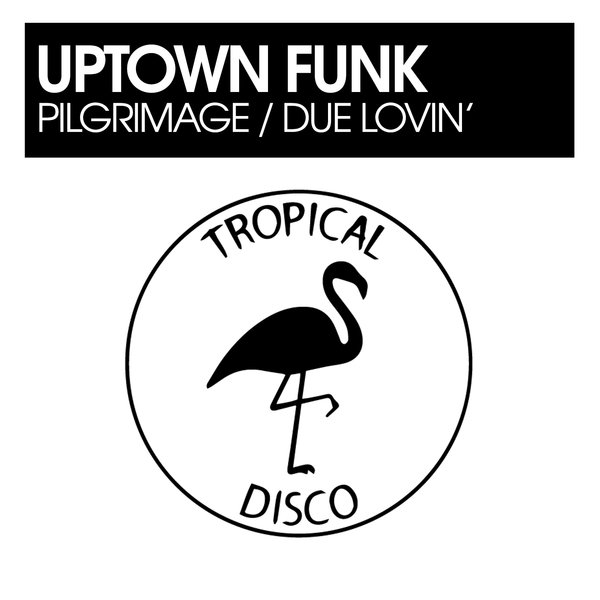Tropical Disco Records