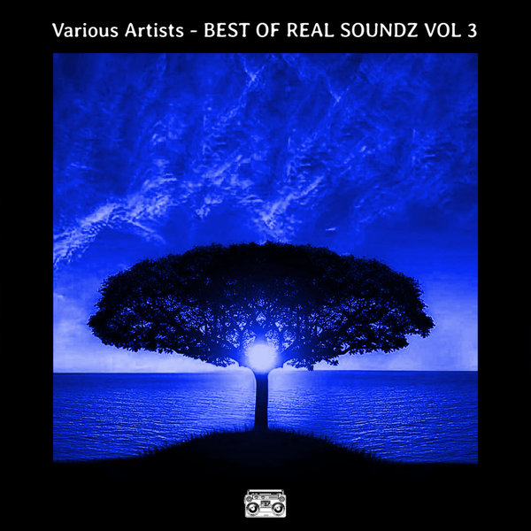 VA - BEST OF REAL SOUNDZ VOL 3 [REALBESTVA003]