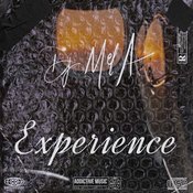 DJ Mel-A - Experience