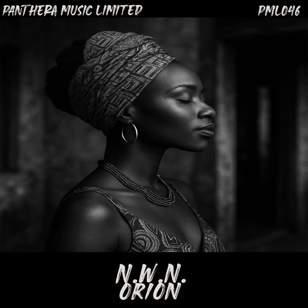 当店在庫してます！ N.W.N. - Orion on Traxsource 洋楽