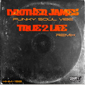 Funky Soul Vibe (True2life Remix)