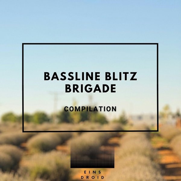 Doug Night Fun - Bassline Blitz Brigade on Traxsource