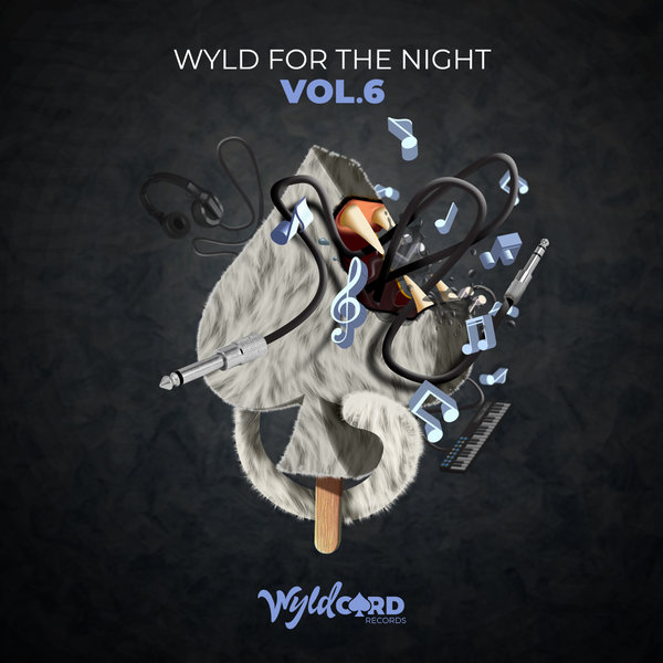 VA - Wyld For The Night Vol.6 WYLD144MB