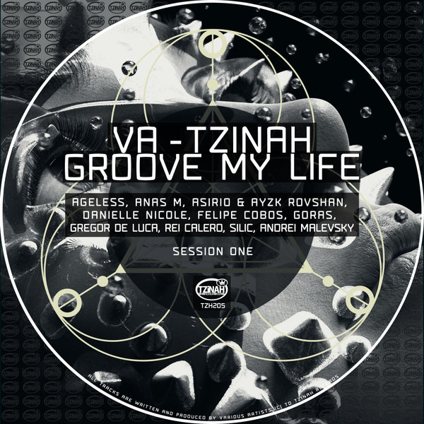 VA - VA - Tzinah Groove My Life TZH205