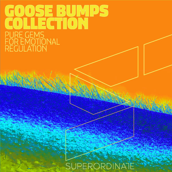 VA - Goose Bumps Collection Vol. 10 SUPER509