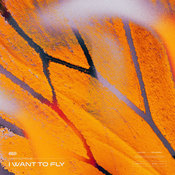 Amir Sohrab - I Want To Fly