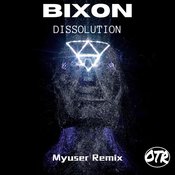 Bixon - Dissolution