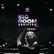 Various Artists - Bigroom Addicted, Vol. 07