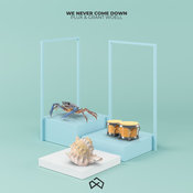 PluX, Grant Woell - We Never Come Down