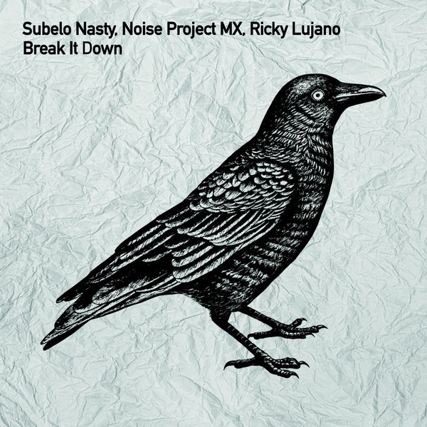 Subelo Nasty Noise Project Mx Ricky Lujano Break It Down On Traxsource